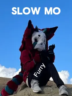 Slow mo // furry