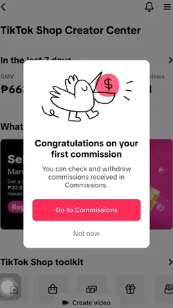 First commission 