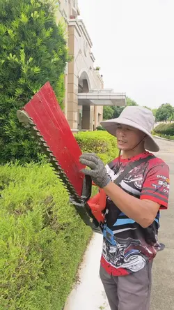 Trimming 