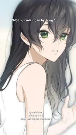 Mẫu 12 ảnh 
