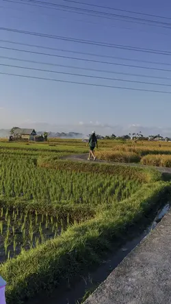 Jogging with view
