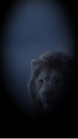 علی علی 🦁❤️