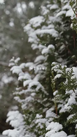 WINTER