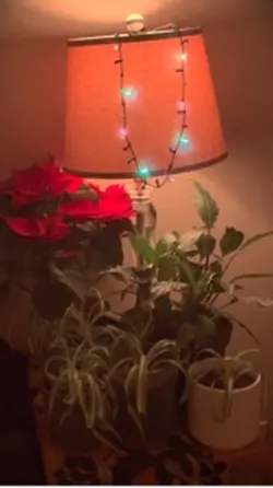 Gentle Christmas