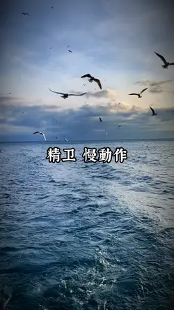 精卫慢動作模板