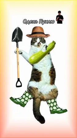 Cat staly