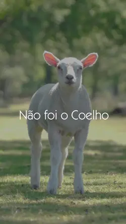 Páscoa - Ele Vive