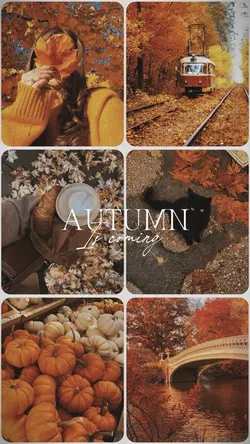 AUTUMN IS COMING🍂
