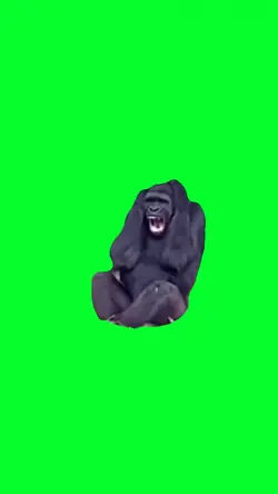 laughing gorilla