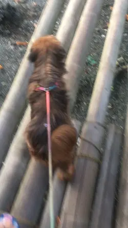 The best thing 🥺🐾
