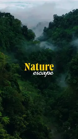 Nature escape