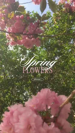 spring flowers