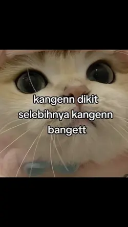 Kangen 