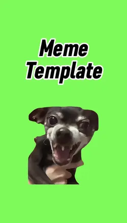 Hilarious dog 