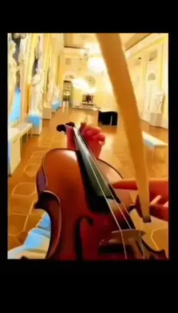 Violon musique 