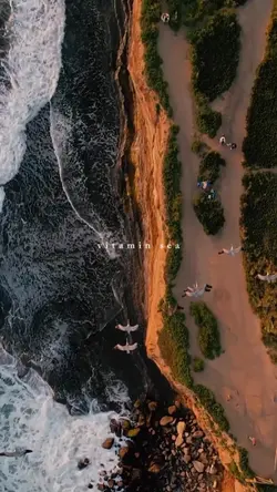 vitamin sea