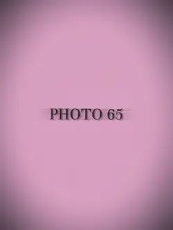 65 Photos