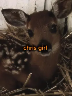 chris girl  🧡