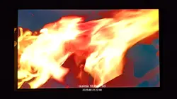 single's inferno 