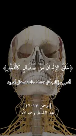 سورة الرحمن 
