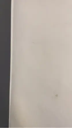 Toilet meme