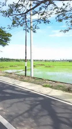 hari pertama juli