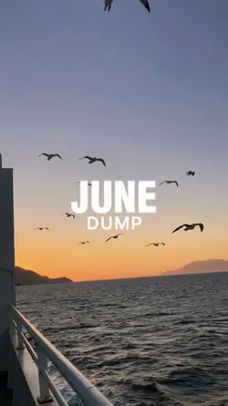 june dump 2025