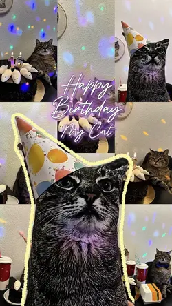 HBD MY CAT