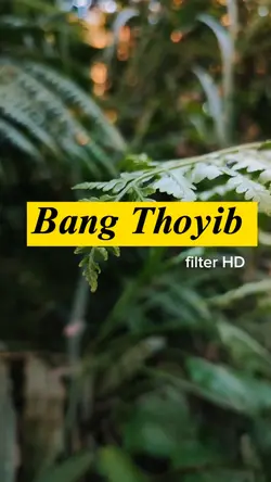 Bang Thoyib 