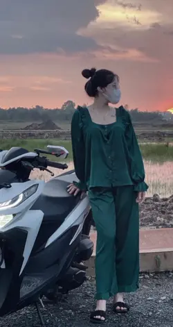 Trình chiếu 