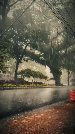 BARISH SLOWMO 