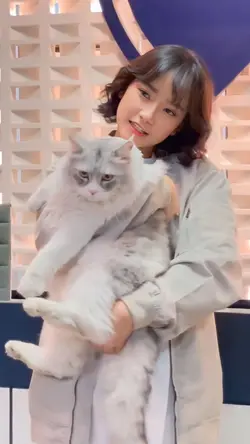 Versi Jiko Freya