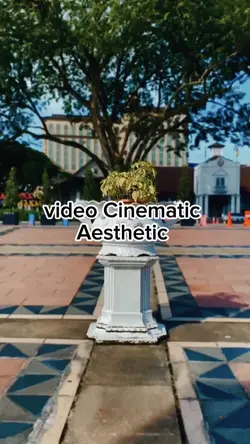 6 Video Cinematic