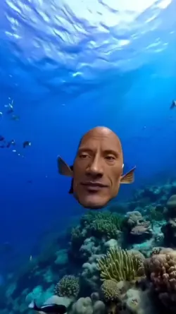funny meme 