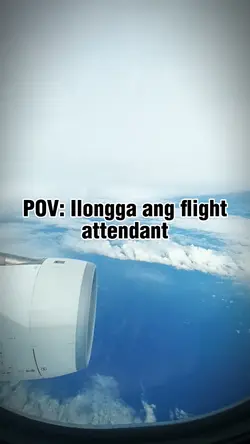Flight Attendant 