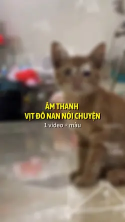 Vịt đô nan nói