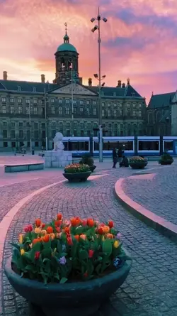 in Netherlands