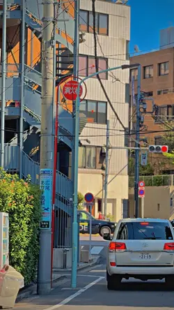1VIDEO BLURHD