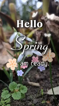 Hello spring 