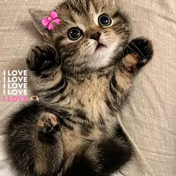 I lovee