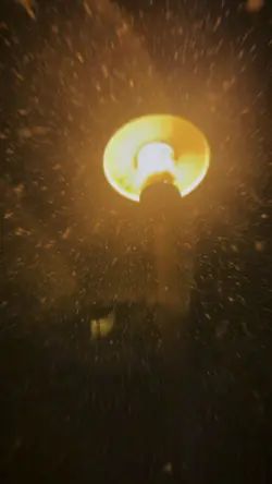 Snowy evening 