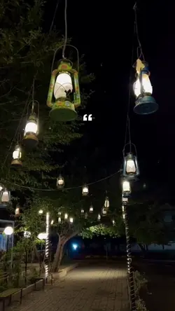 Mẫu 1 video