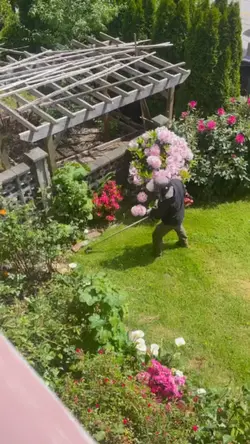 Gardening