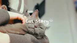 Cat Story