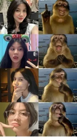 monkey thingking tre