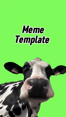 Funny cow