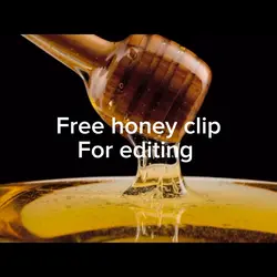 Free honey clips 