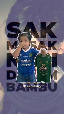 VersiPersib