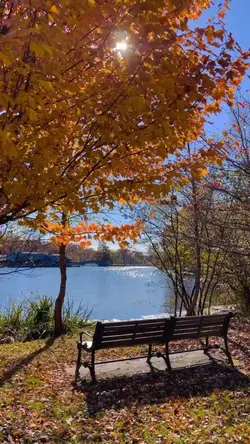Autumn color 