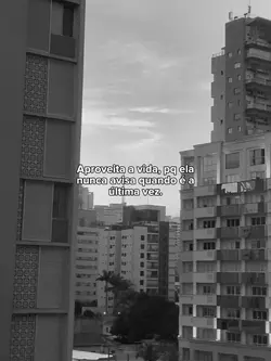 frases pra reels